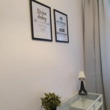 Mieszkanie W Centrum Gdyni Sw 135p Apartament